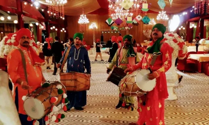 Ved Punjabi Dhol Group
